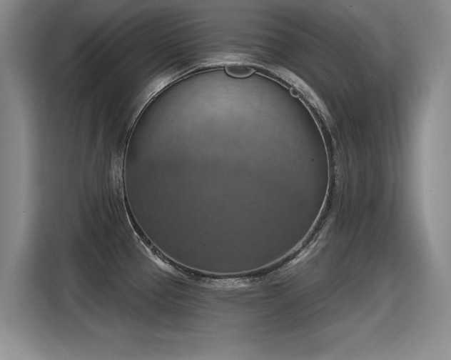 X0000115421337200911101624