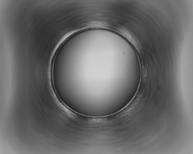 X0000115421339200911101624