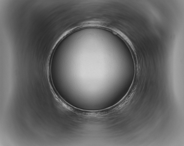 X0000115421341200911101624