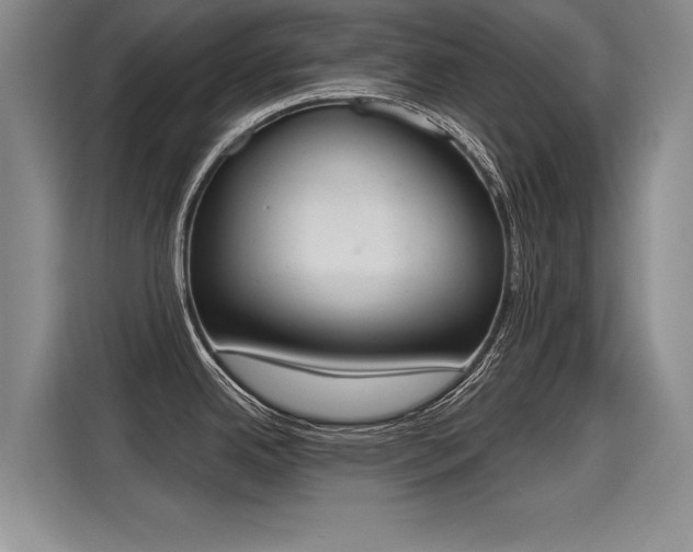 X0000115421342200911101624