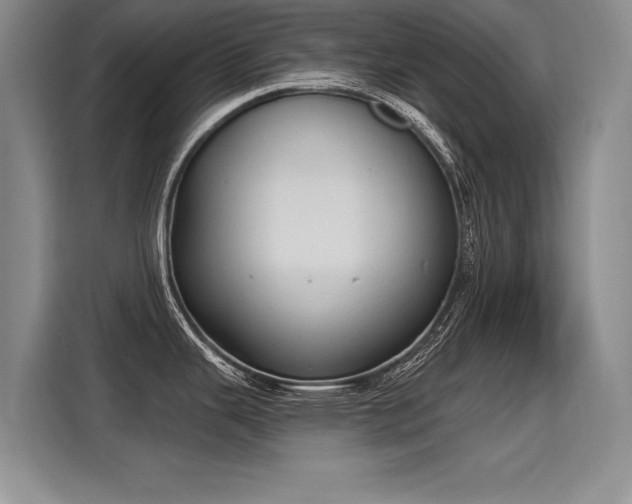 X0000115421343200911101624