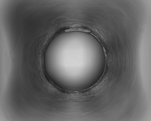 X0000115421345200911101623