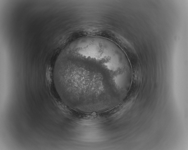 X0000115421346200911101623