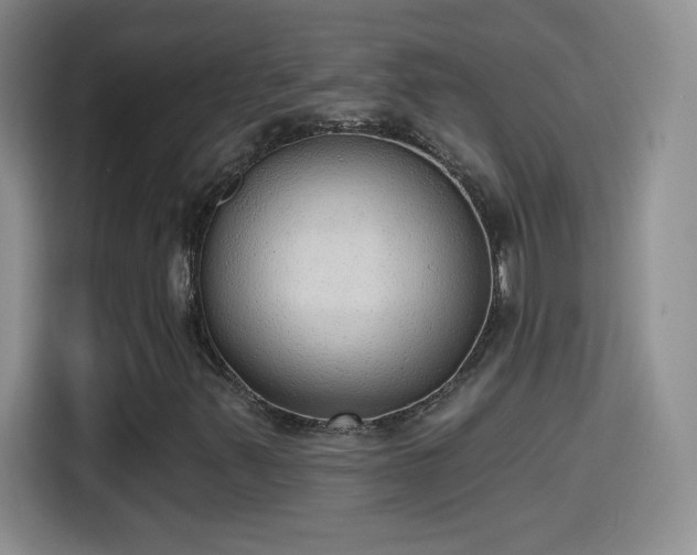 X0000115421347200911101623