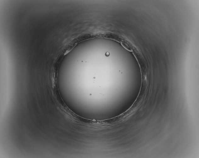 X0000115421348200911101623