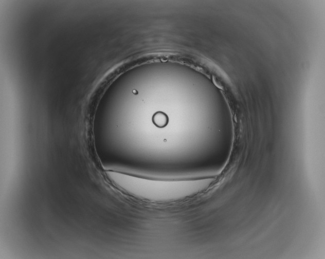 X0000115421352200911101623