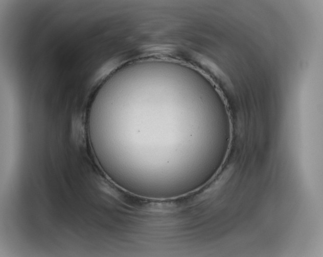 X0000115421354200911101623