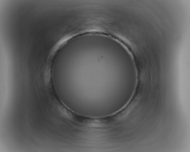X0000115421359200911101623