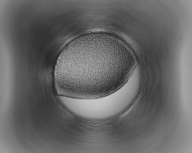 X0000115421361200911101623