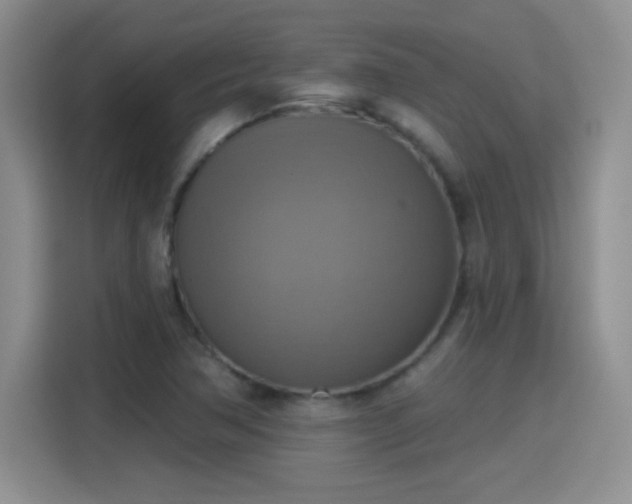 X0000115421362200911101623