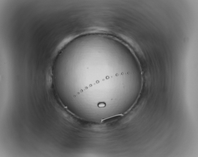 X0000115421363200911101623