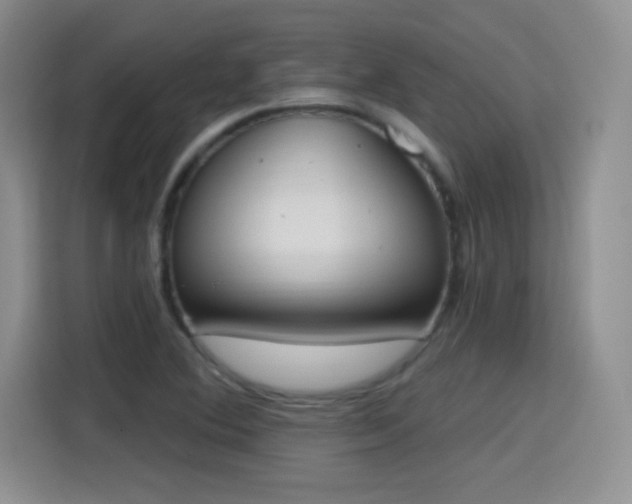 X0000115421364200911101623