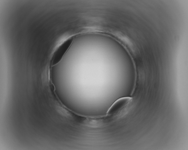 X0000115421365200911101623