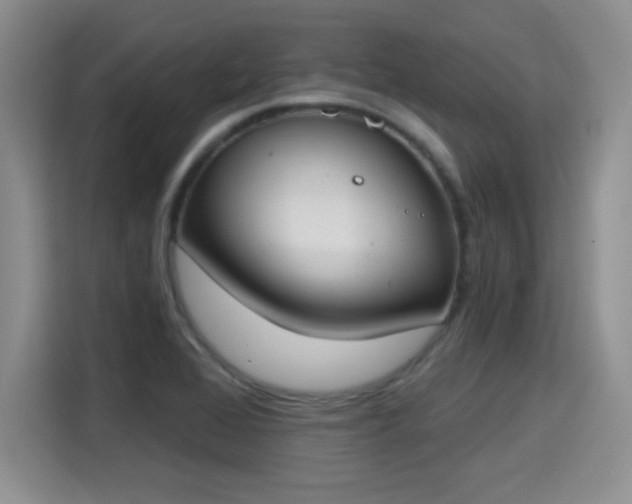 X0000115421368200911101623