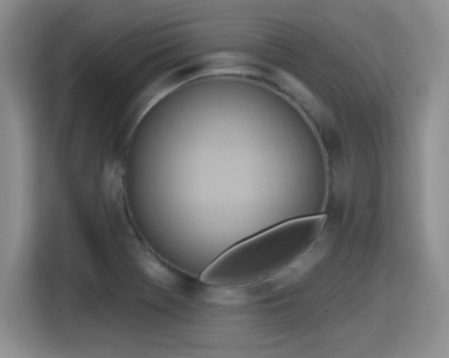 X0000115421369200911101623
