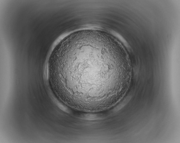 X0000115421371200911101623