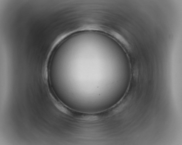 X0000115421372200911101623