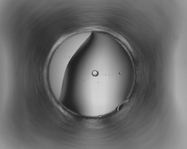 X0000115421373200911101623