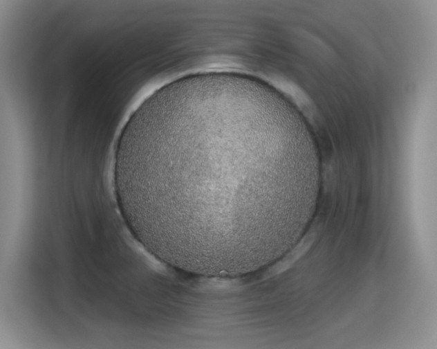 X0000115421374200911101623