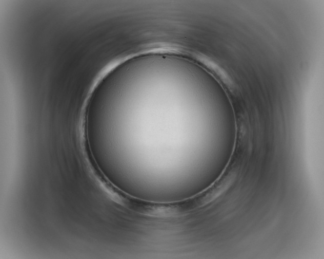 X0000115421375200911101623
