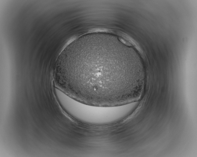X0000115421377200911101623