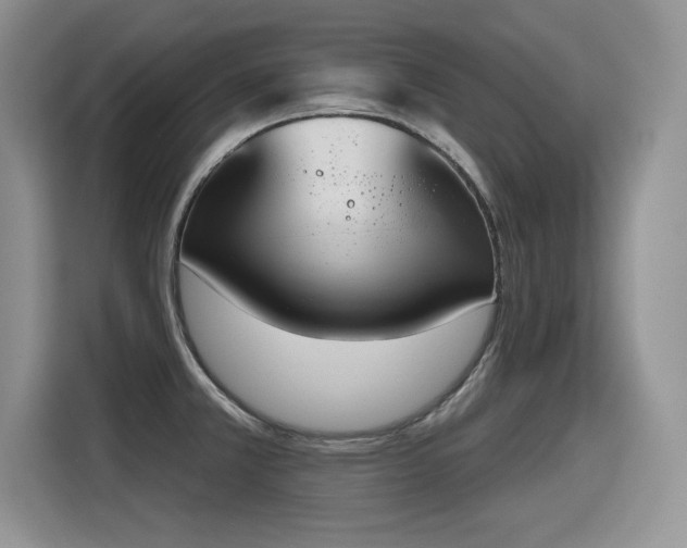 X0000115421381200911101623
