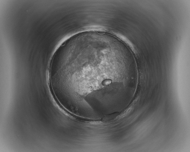 X0000115421383200911101623