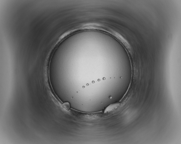 X0000115421384200911101623