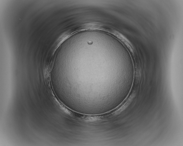 X0000115421385200911101623