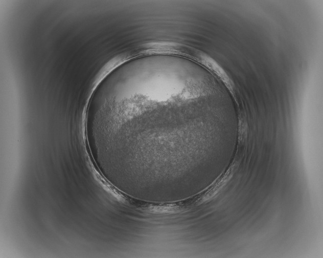 X0000115421386200911101623