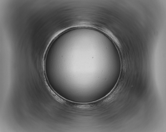 X0000115421388200911101623