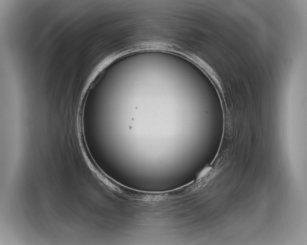 X0000115421389200911101623