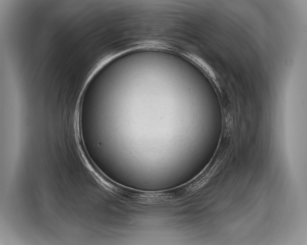 X0000115421391200911101623