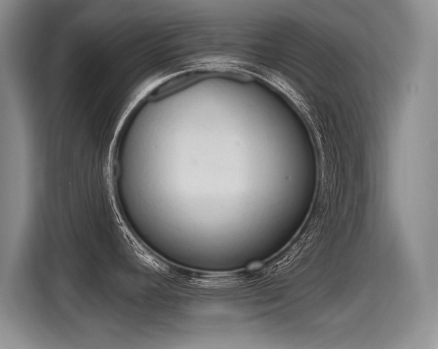 X0000115421392200911101623