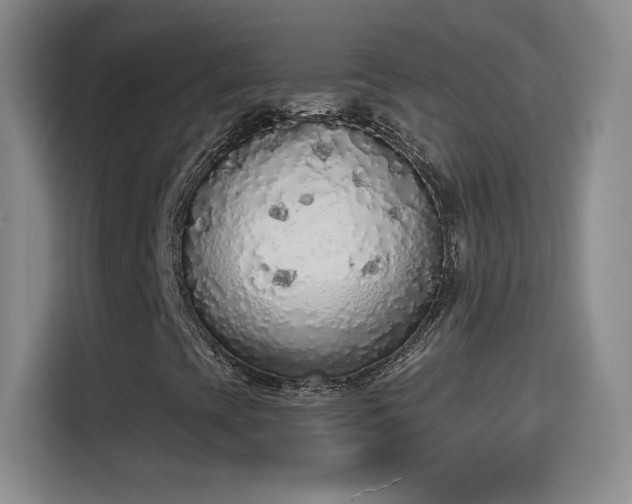 X0000115421393200911101622