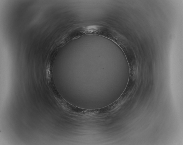 X0000115421394200911101622
