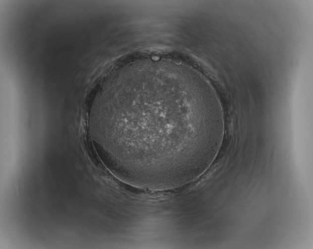 X0000115421397200911101622
