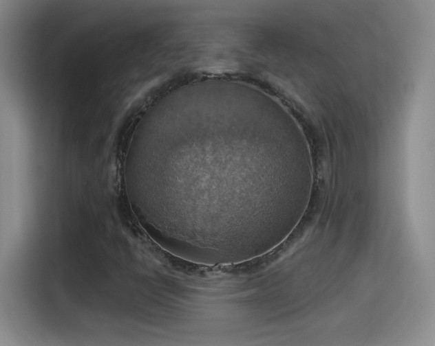 X0000115421398200911101622