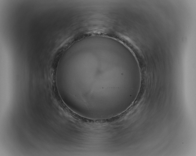 X0000115421399200911101622