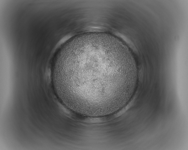 X0000115421402200911101622