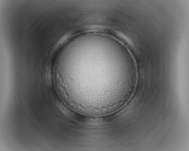 X0000115421403200911101622