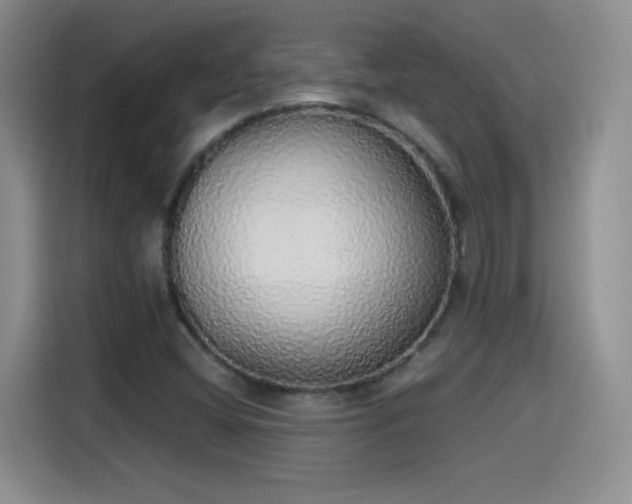 X0000115421404200911101622