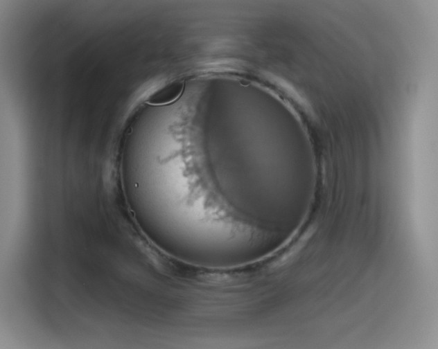 X0000115421405200911101622