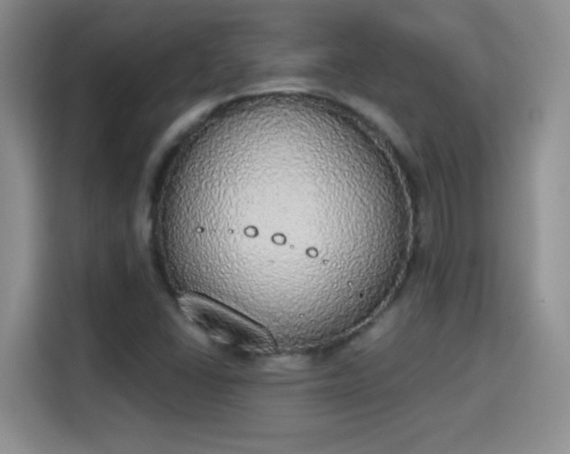 X0000115421406200911101622