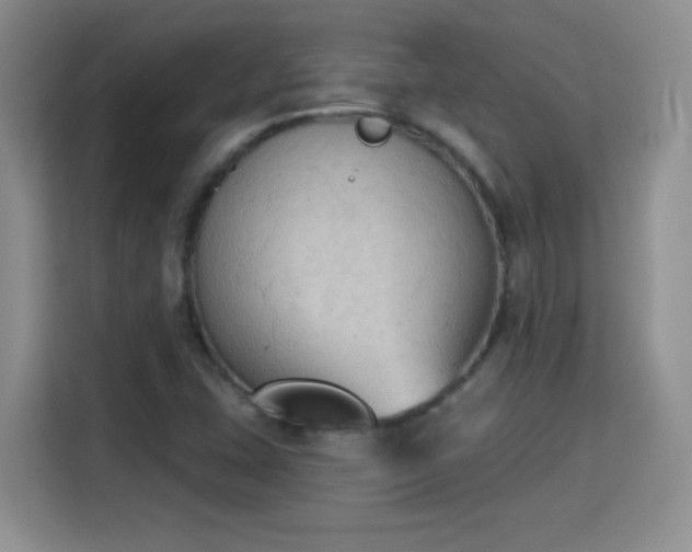 X0000115421407200911101622