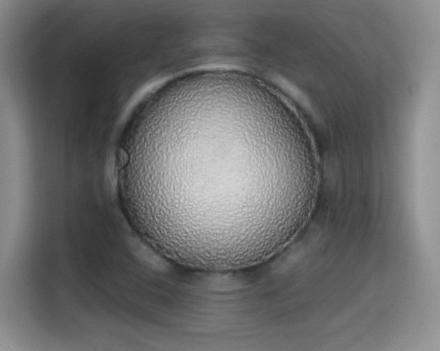 X0000115421408200911101622