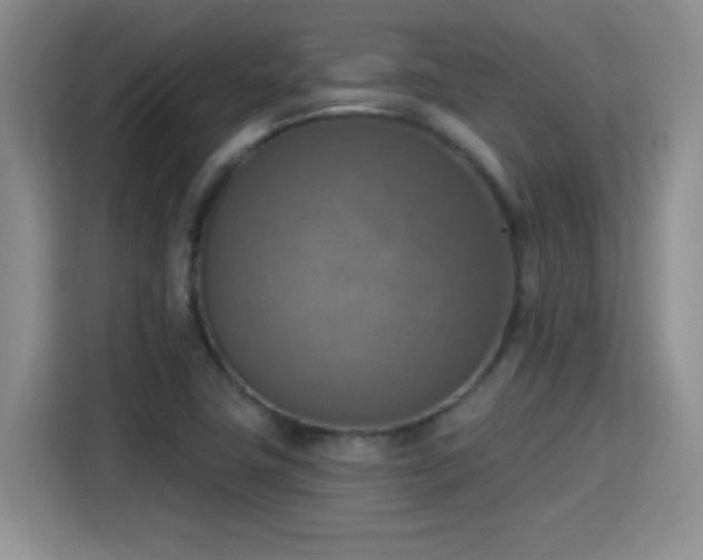 X0000115421411200911101622