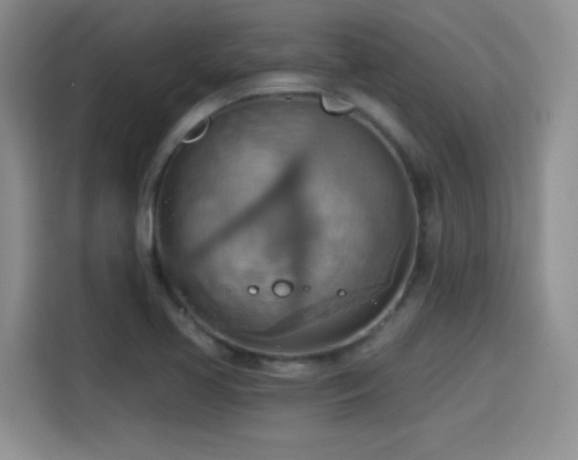 X0000115421413200911101622