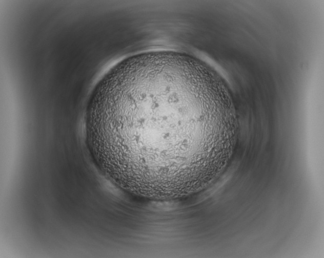 X0000115421415200911101622