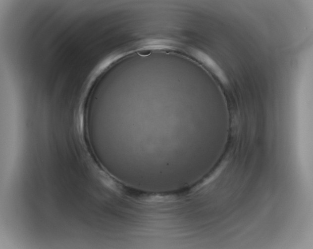 X0000115421419200911101622